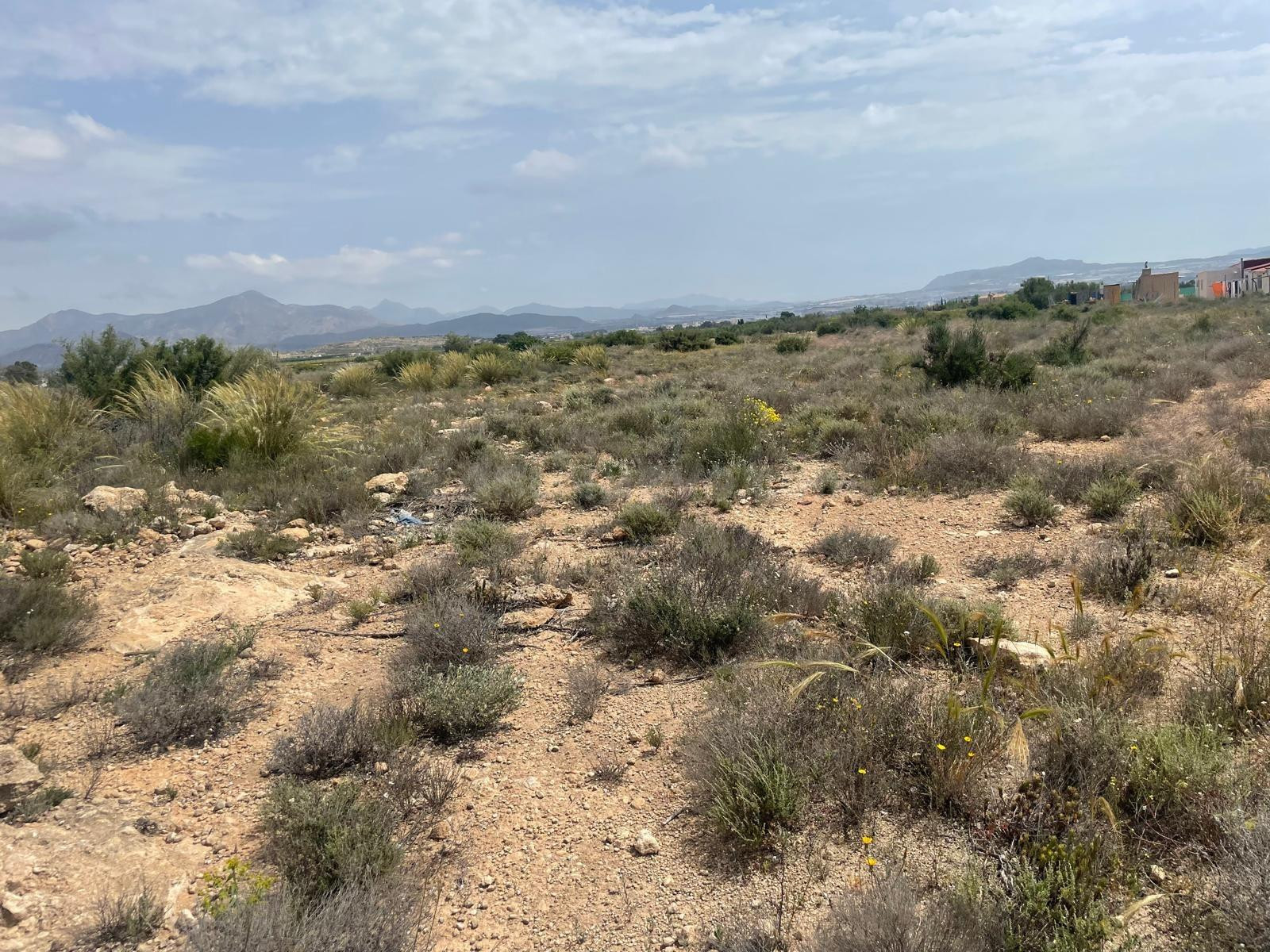 VENTA DE TERRENO EN NOVELDA (ALICANTE) - foto 4