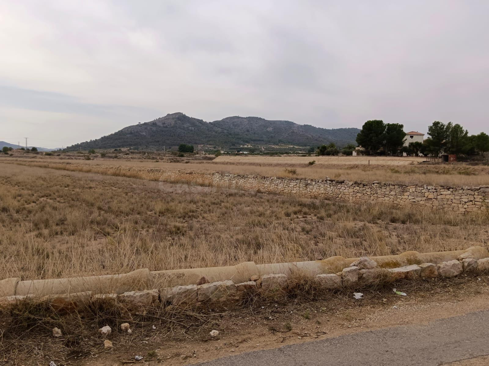 VENTA DE PARCELA EN LA ROMANA (ALICANTE) - foto 2