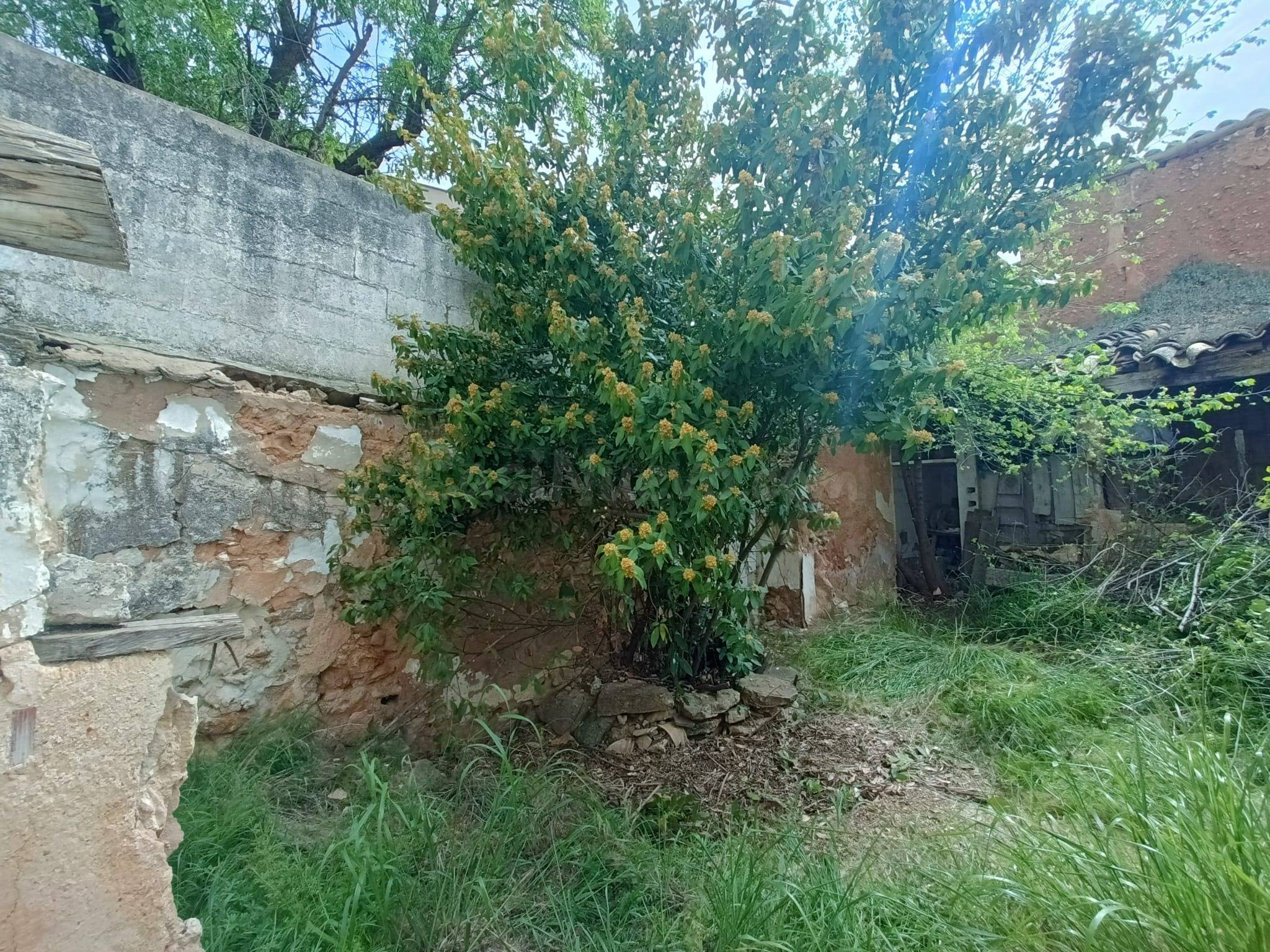 Casa con encanto y gran patio en el corazón de San Clemente  - foto 4