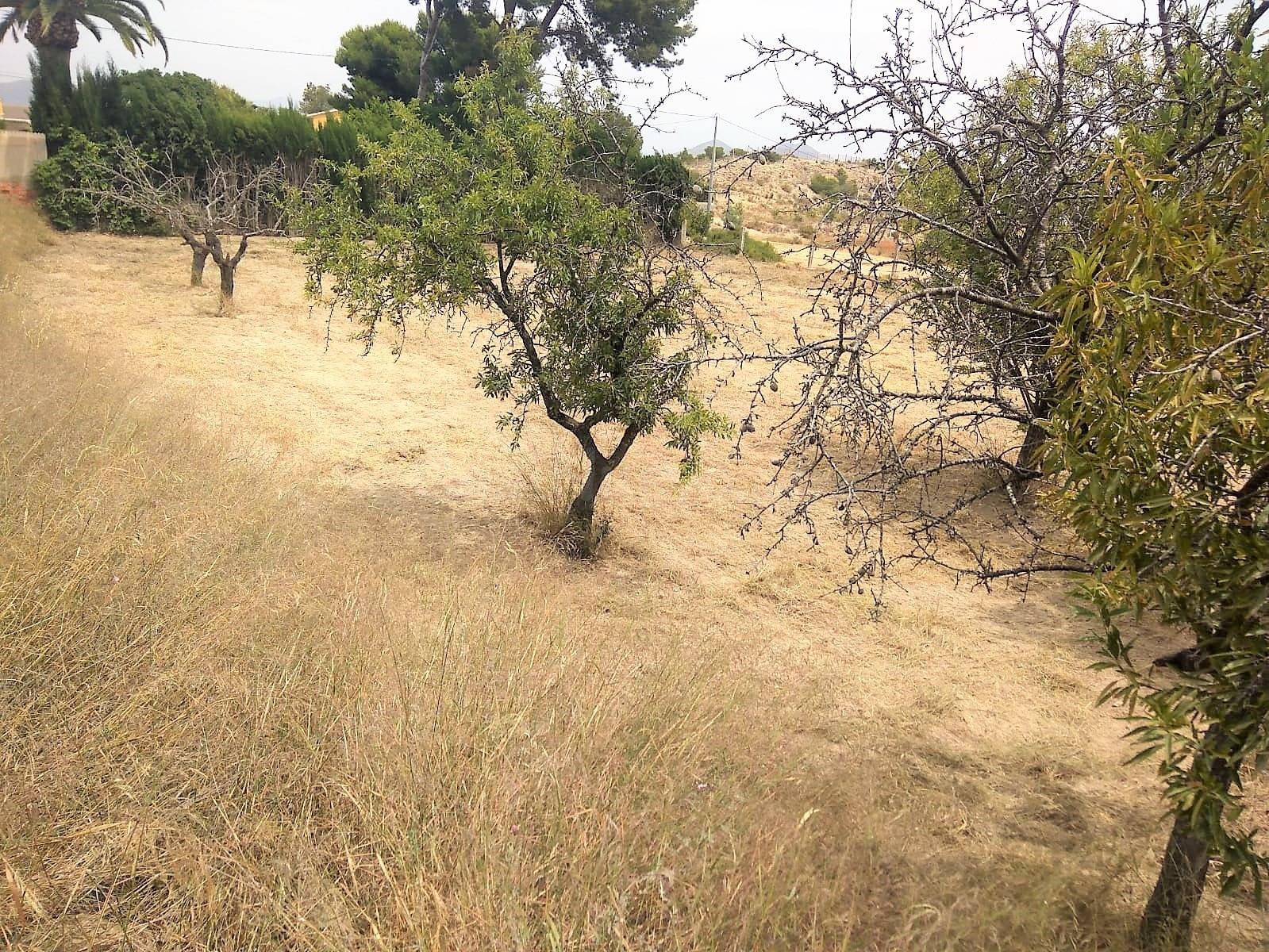 Oportunidad: Terreno Rústico de 1.122 m2 con Garaje en Santa - foto 4