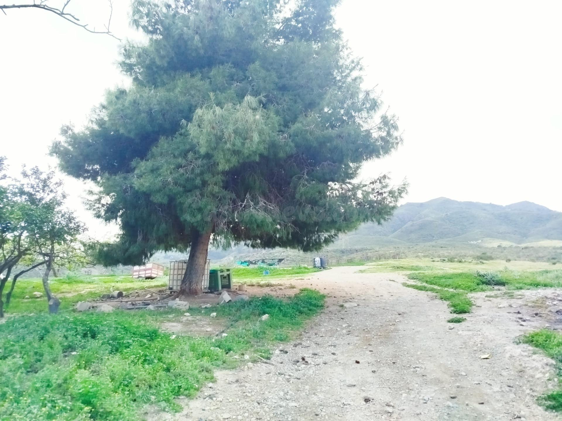 Casa de campo con terreno en Leiva (Mazarrón) – Proyecto ide - foto 4