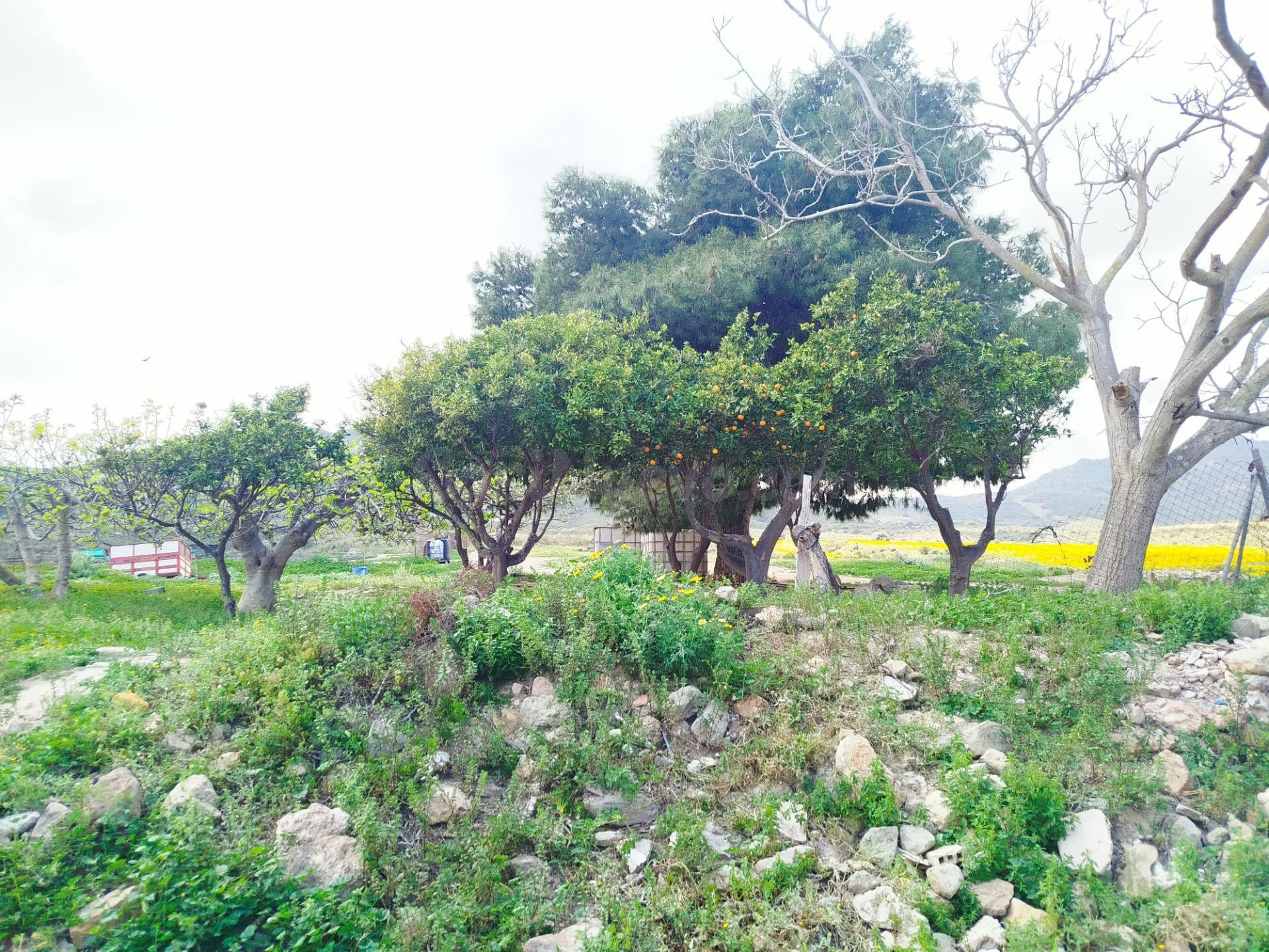 Casa de campo con terreno en Leiva (Mazarrón) – Proyecto ide - foto 5