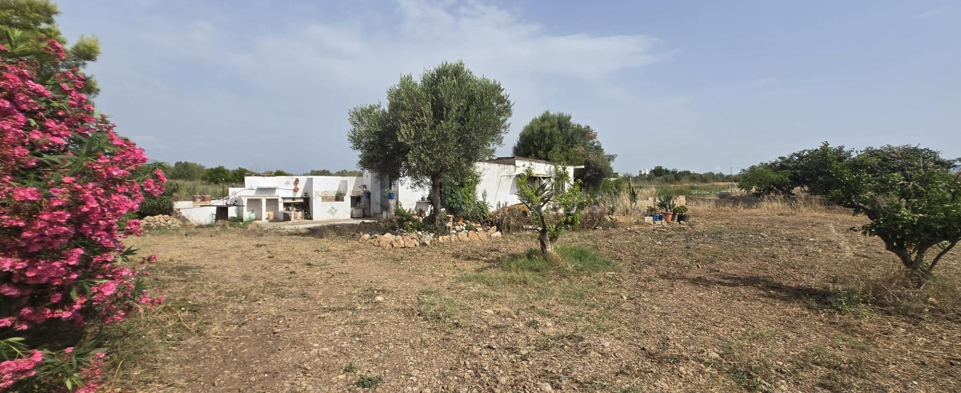 EN VENTA FINCA RUSTICA EN DOS VILAS VINARÒS. PARCELA DE 6150 - foto 3