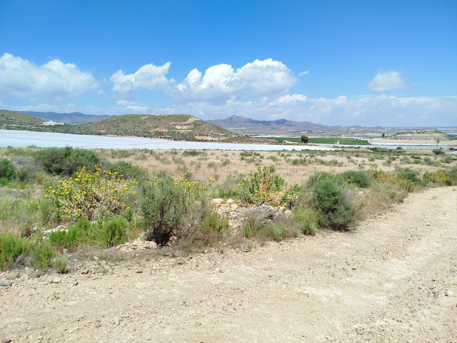 Terreno rural en venta - Leiva - foto 2