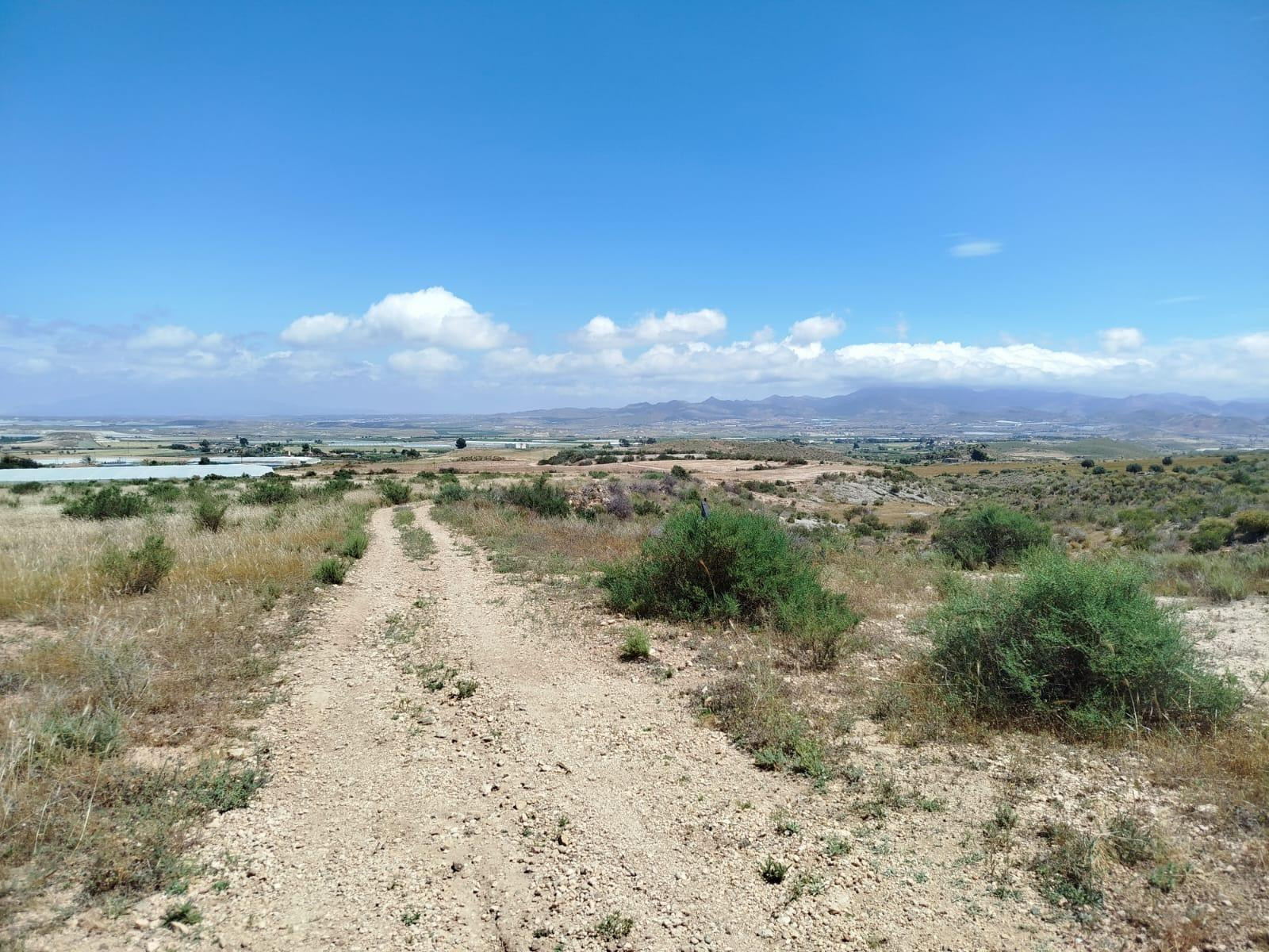 Terreno rural en venta - Leiva - foto 3