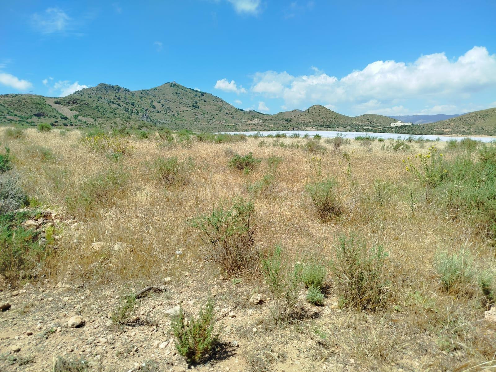 Terreno rural en venta - Leiva - foto 4
