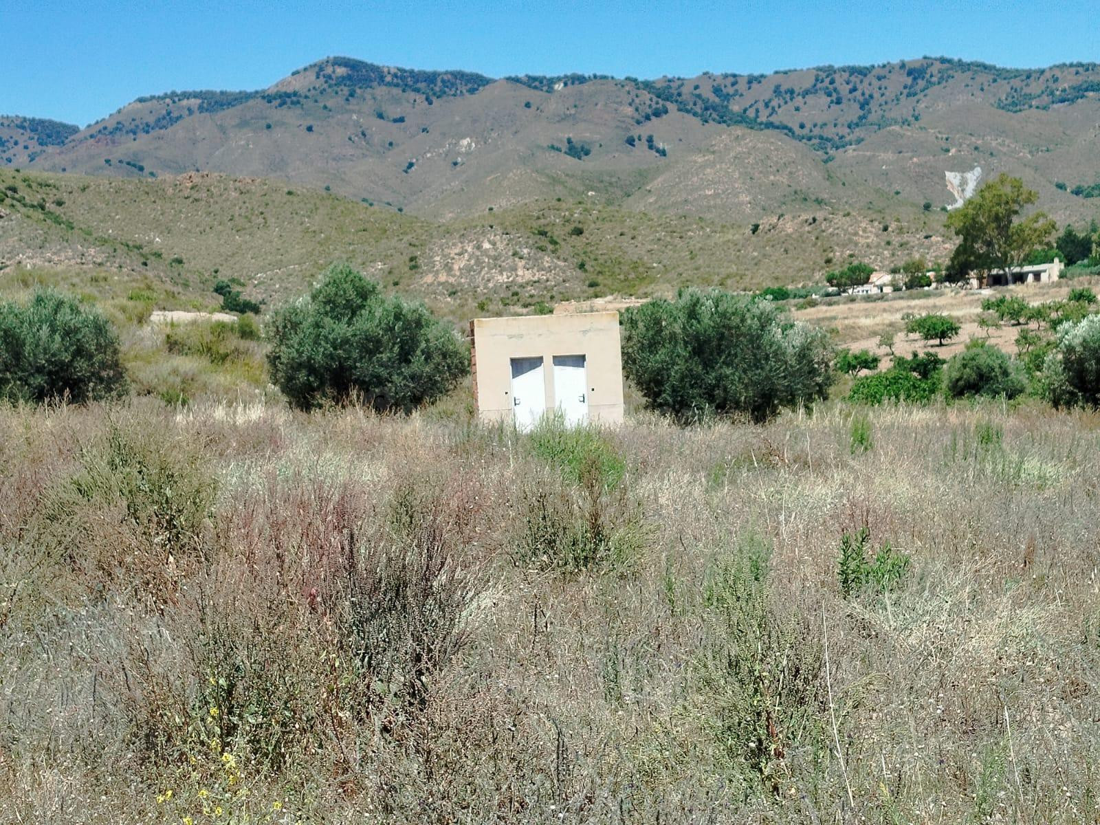 LA ATALAYA- MAZARRON  TERRENO SECANO  23000 MTS - foto 3