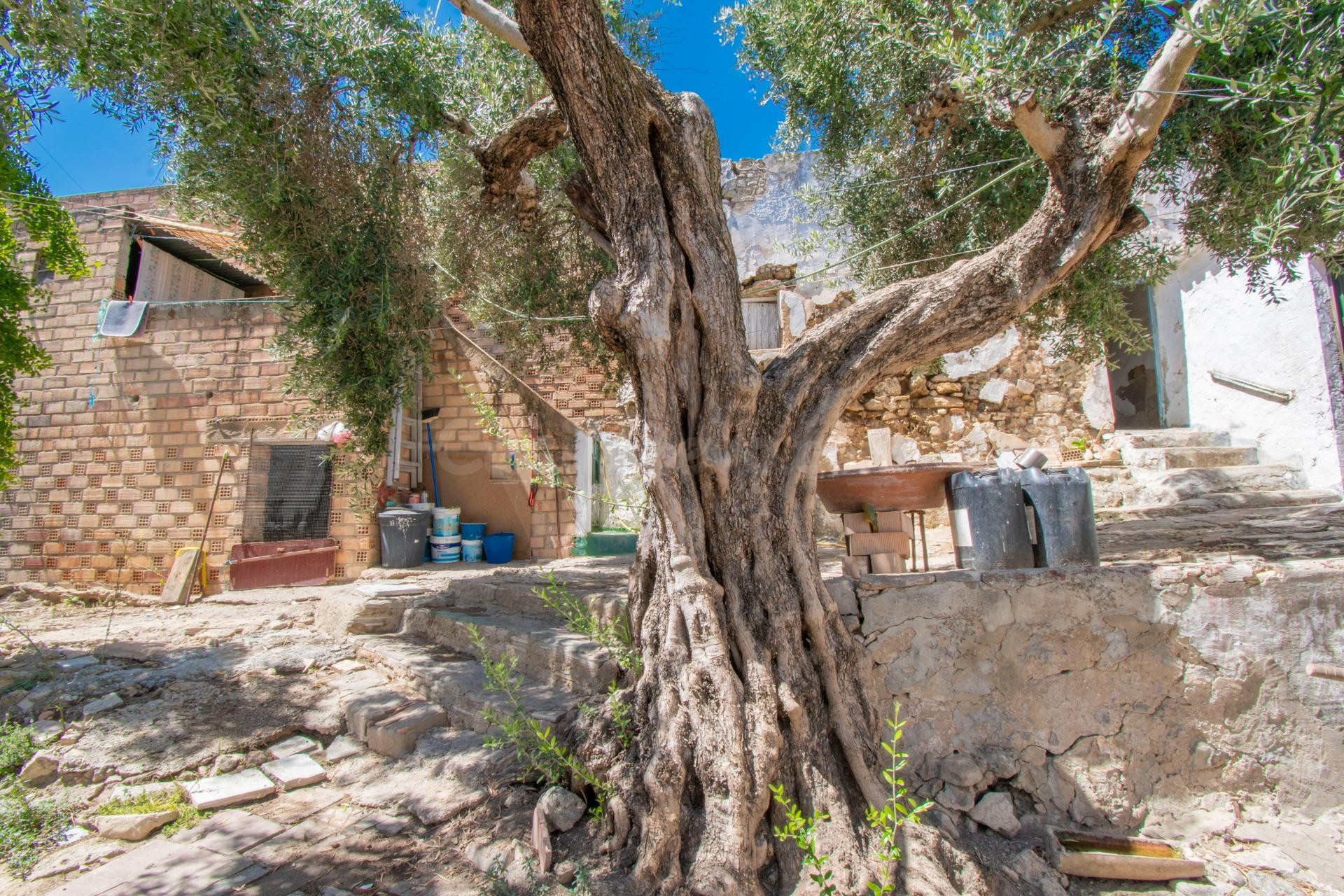SE VENDE CASA CON TERRENO EN PATERNA DE RIVERA - foto 3
