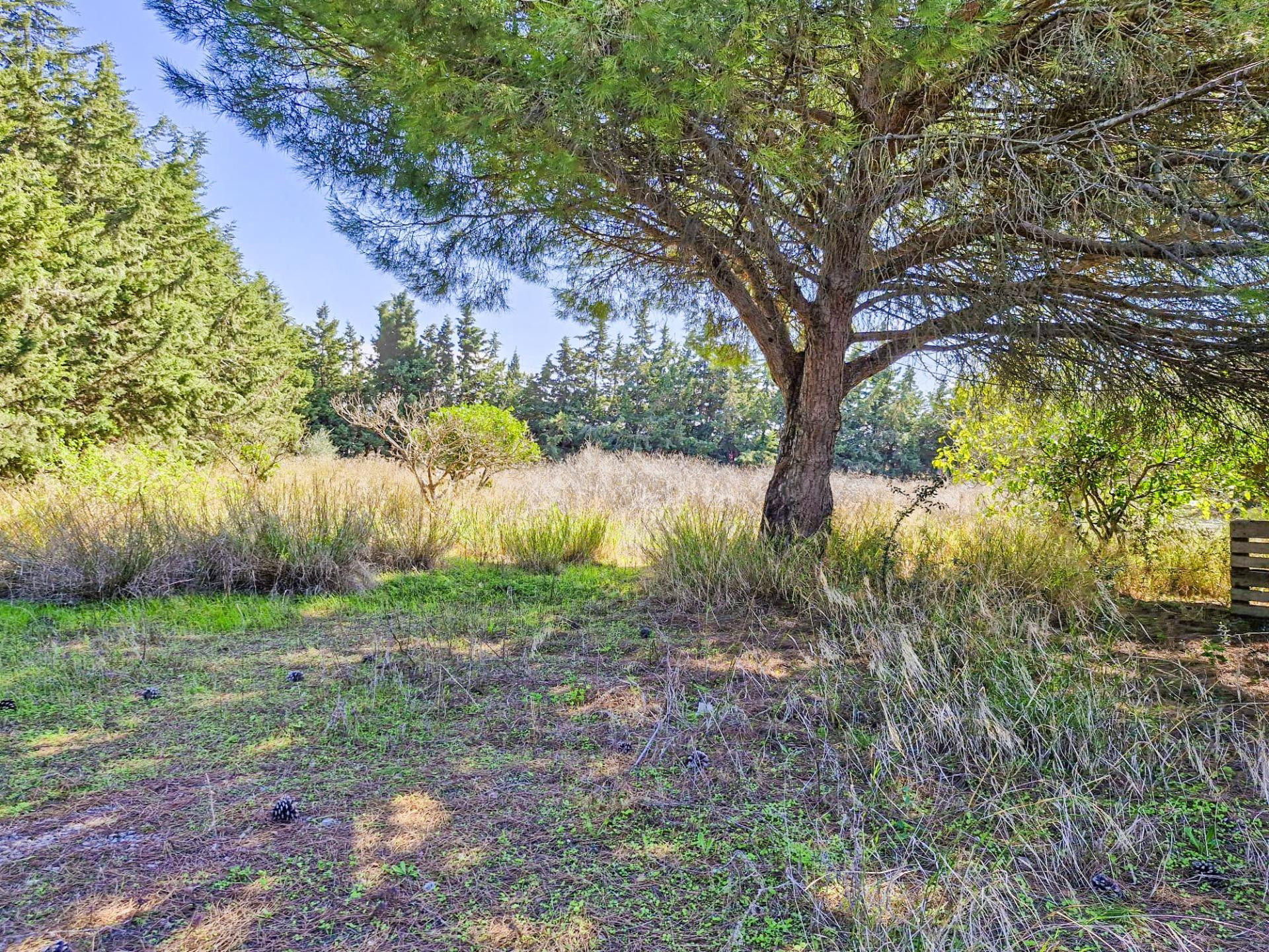 SE VENDE ESPECTACULAR PARCELA CON NAVE REGISTRADA ,  SEGREGA - foto 4