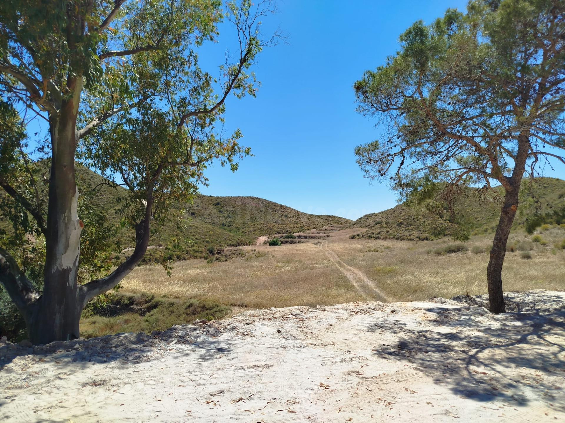 Terreno rústico de 6.500 m2 en La Atalaya (Mazarrón) – Gran  - foto 3
