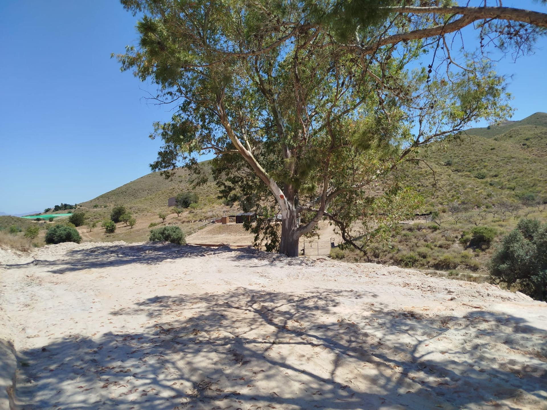 Terreno rústico de 6.500 m2 en La Atalaya (Mazarrón) – Gran  - foto 4