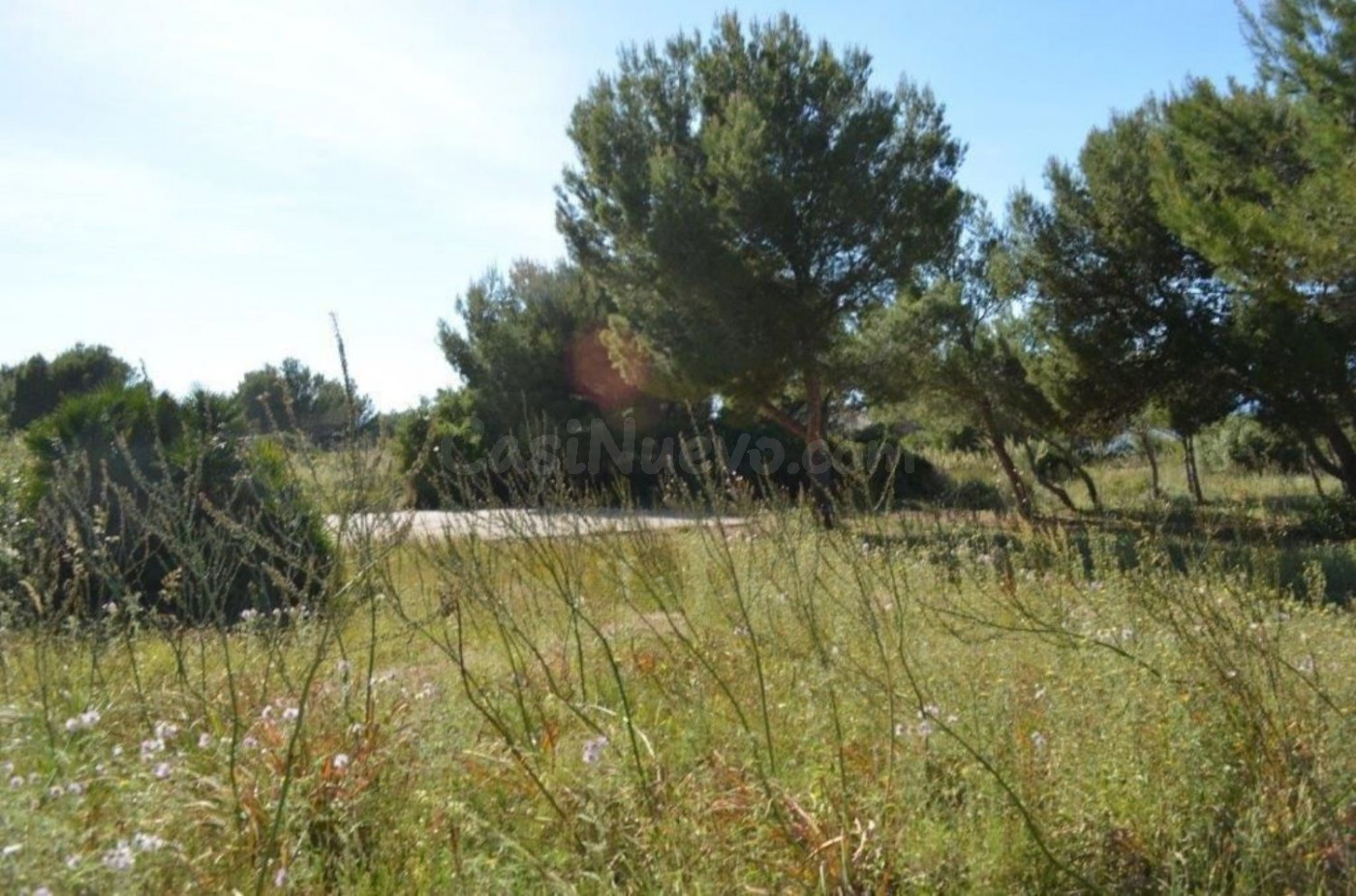 Terreno rural 500m² en venta - Artà - foto 5