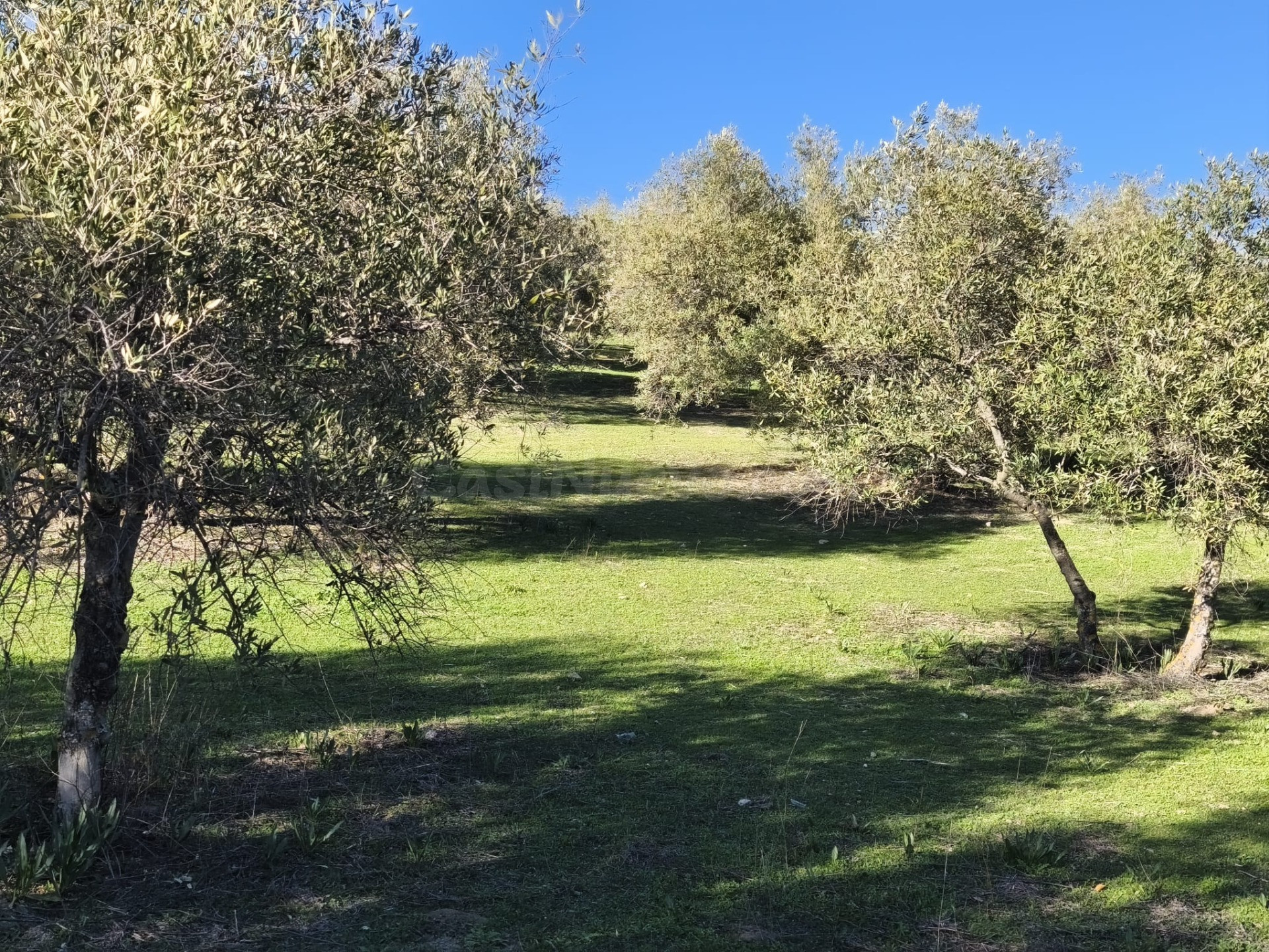 Terreno rural en venta - Sierra de huetor y la alfaguara