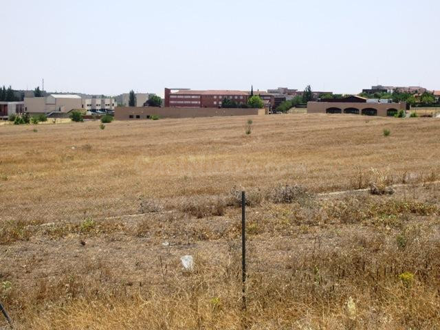 Terreno rural en venta - La Dehesa - El Pinar