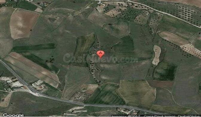 Terreno rural en venta - La Dehesa - El Pinar - foto 3