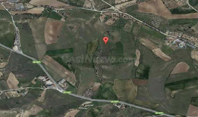 Terreno rural en venta - La Dehesa - El Pinar - foto 4