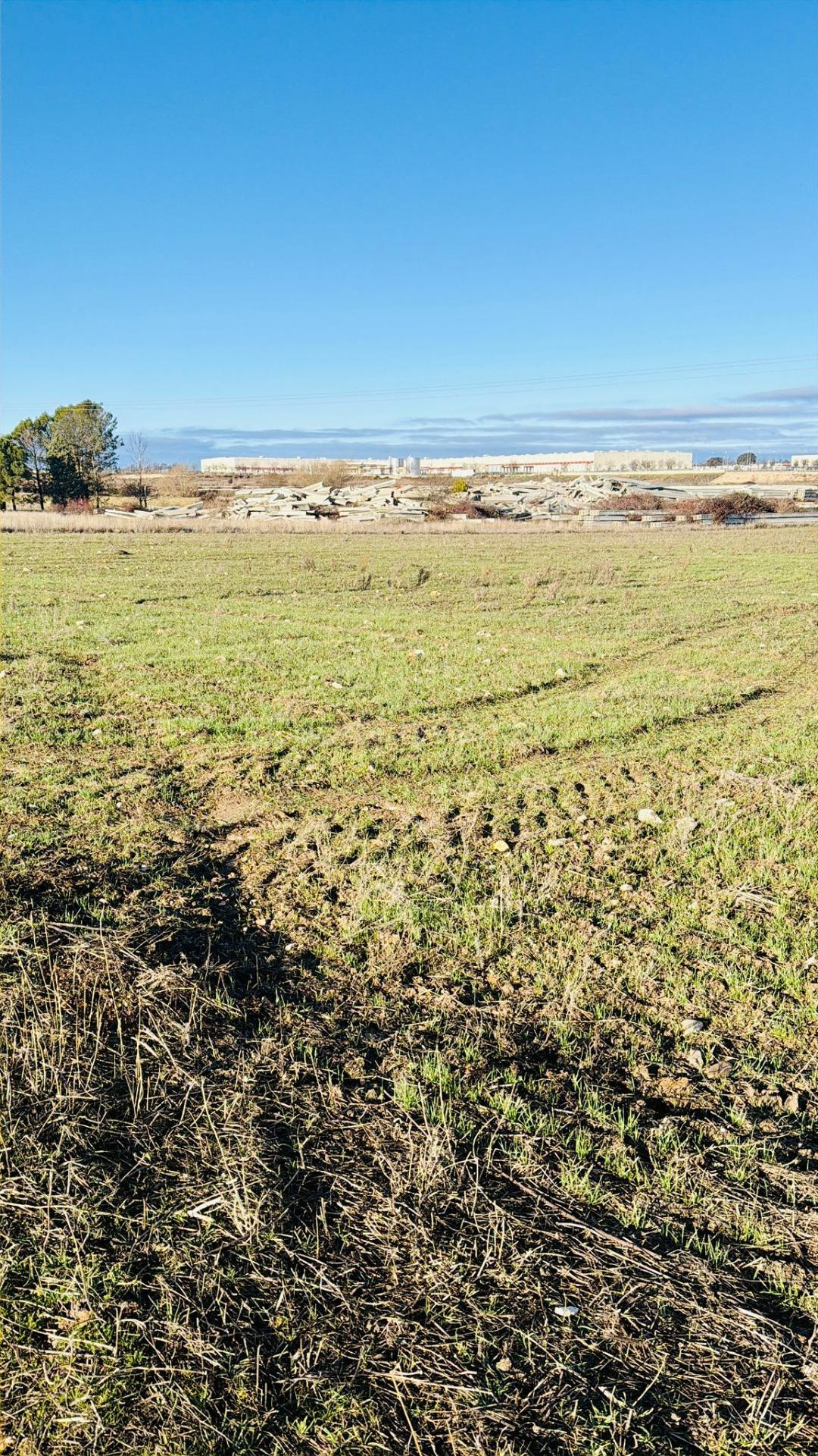 Terreno rural en venta - Torija - foto 3