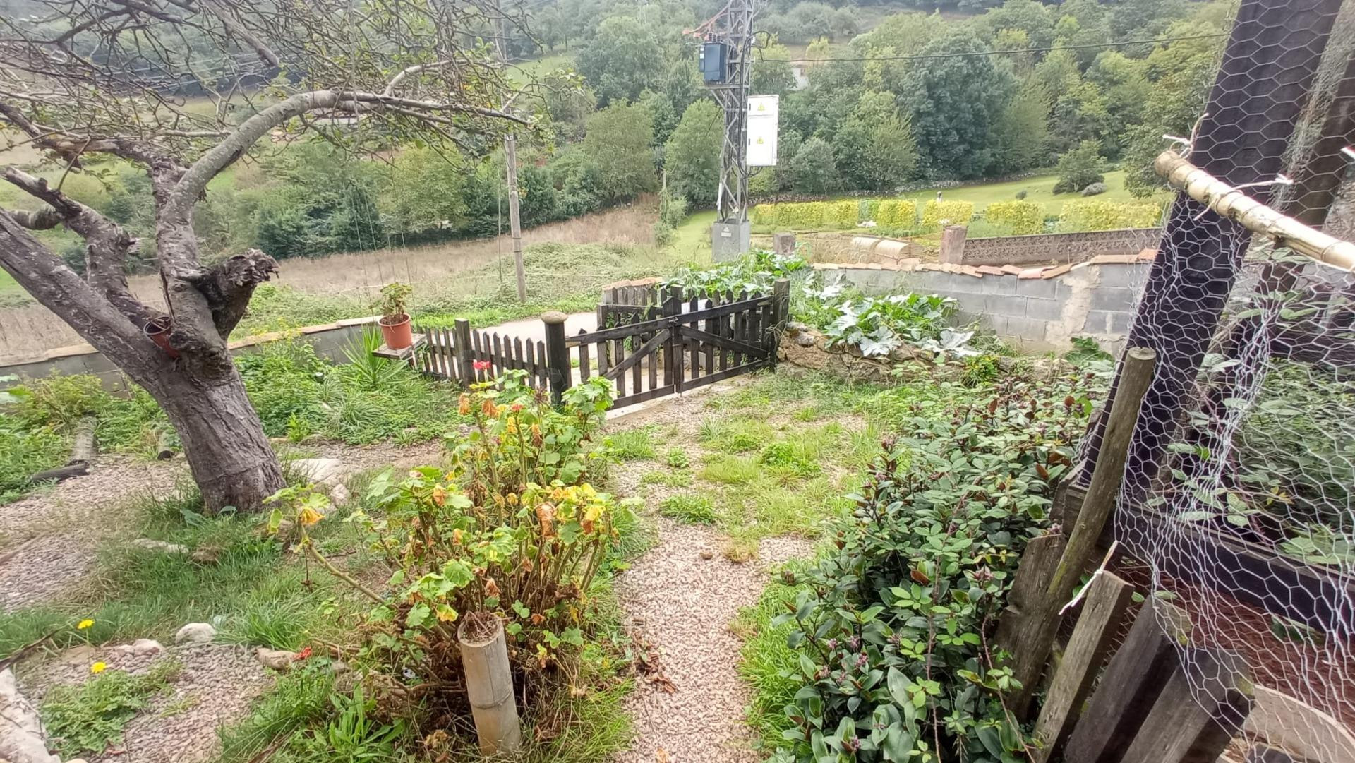 Terreno urbano con cabaña en Oviedo - foto 3