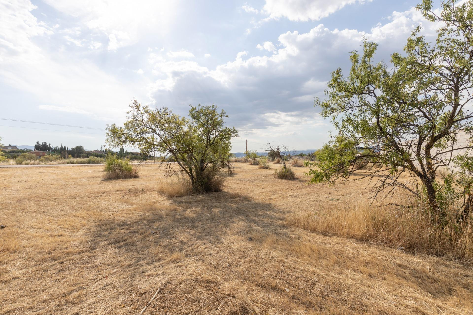 Terreno rural en venta - LOS TABLAZOS
