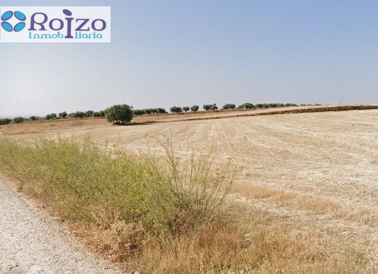 Terreno rural en venta - Castilla la mancha - foto 3
