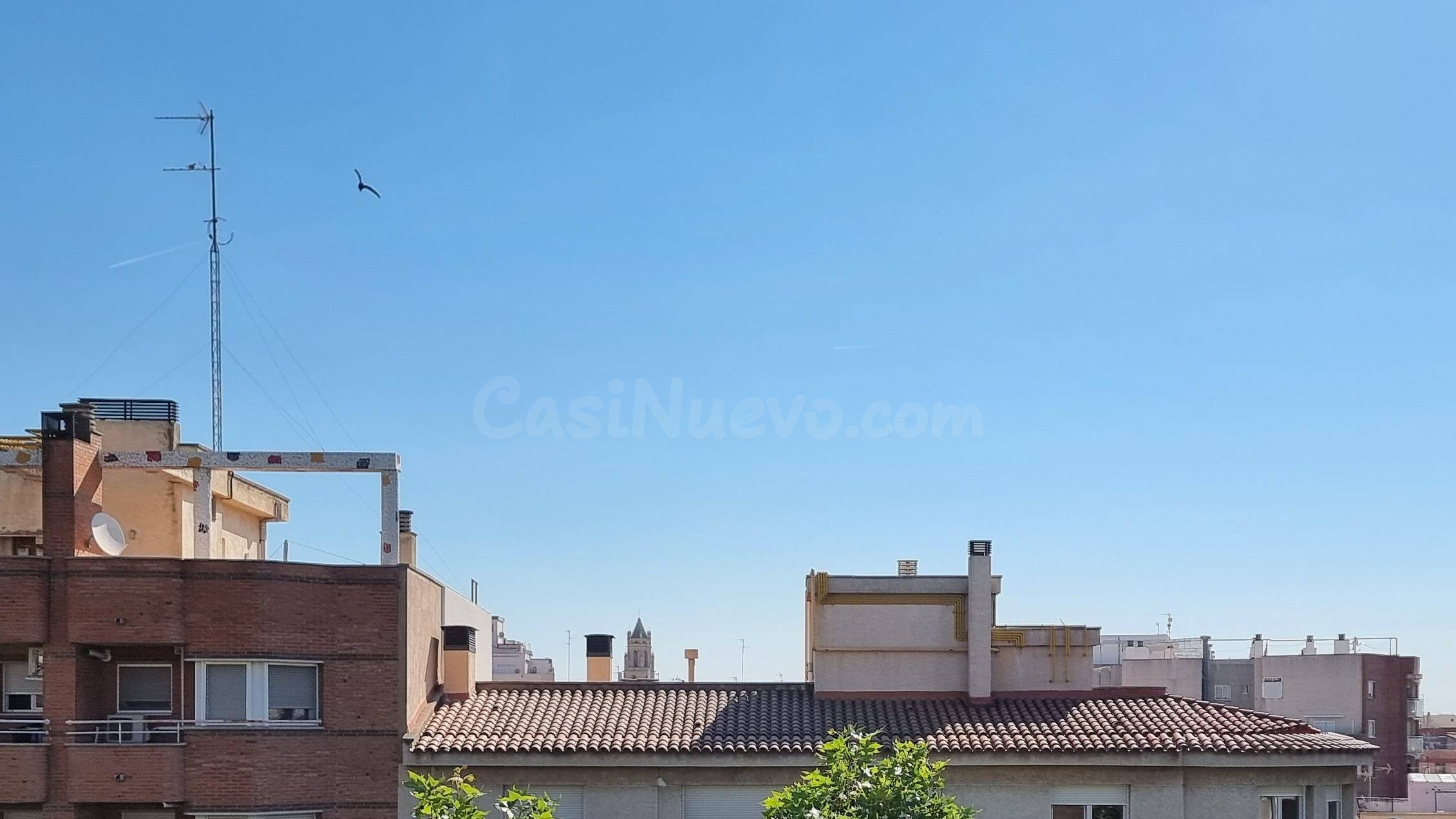 AMPLITUD, LUZ, TERRAZA Y PARKING opcional EN PASEO PRIM - foto 5