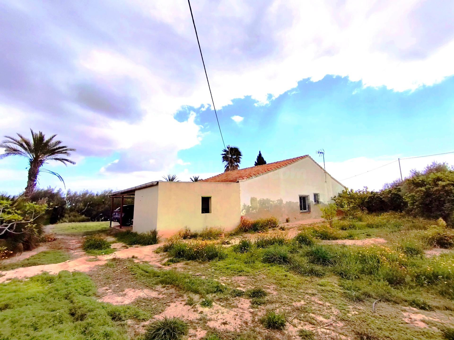 Finca rústica 21.880 m2 entre Elche y Santa Pola, divisible en 2 parcelas con opción de construir 2ª vivienda