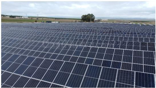 Doble Oportunidad: Finca con Proyecto Solar Aprobado (RBT) 2 MW y Parcela para una Villa