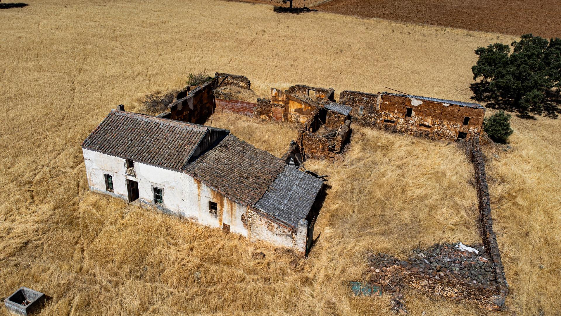 Finca mixta de 140 hectáreas con cortijo en suelo urbano en  - foto 2