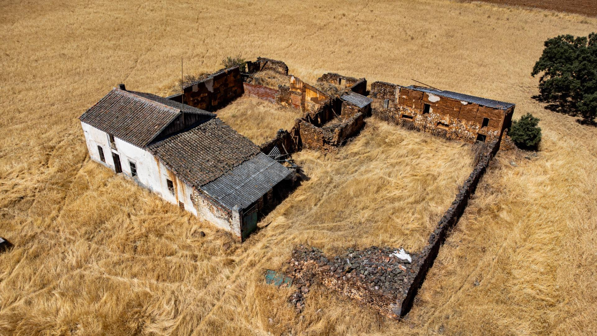 Finca mixta de 140 hectáreas con cortijo en suelo urbano en  - foto 3