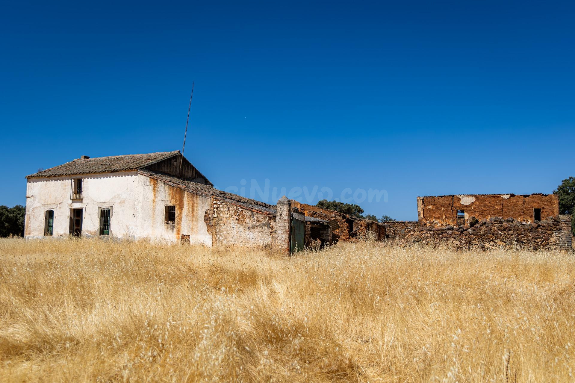 Finca mixta de 140 hectáreas con cortijo en suelo urbano en  - foto 4