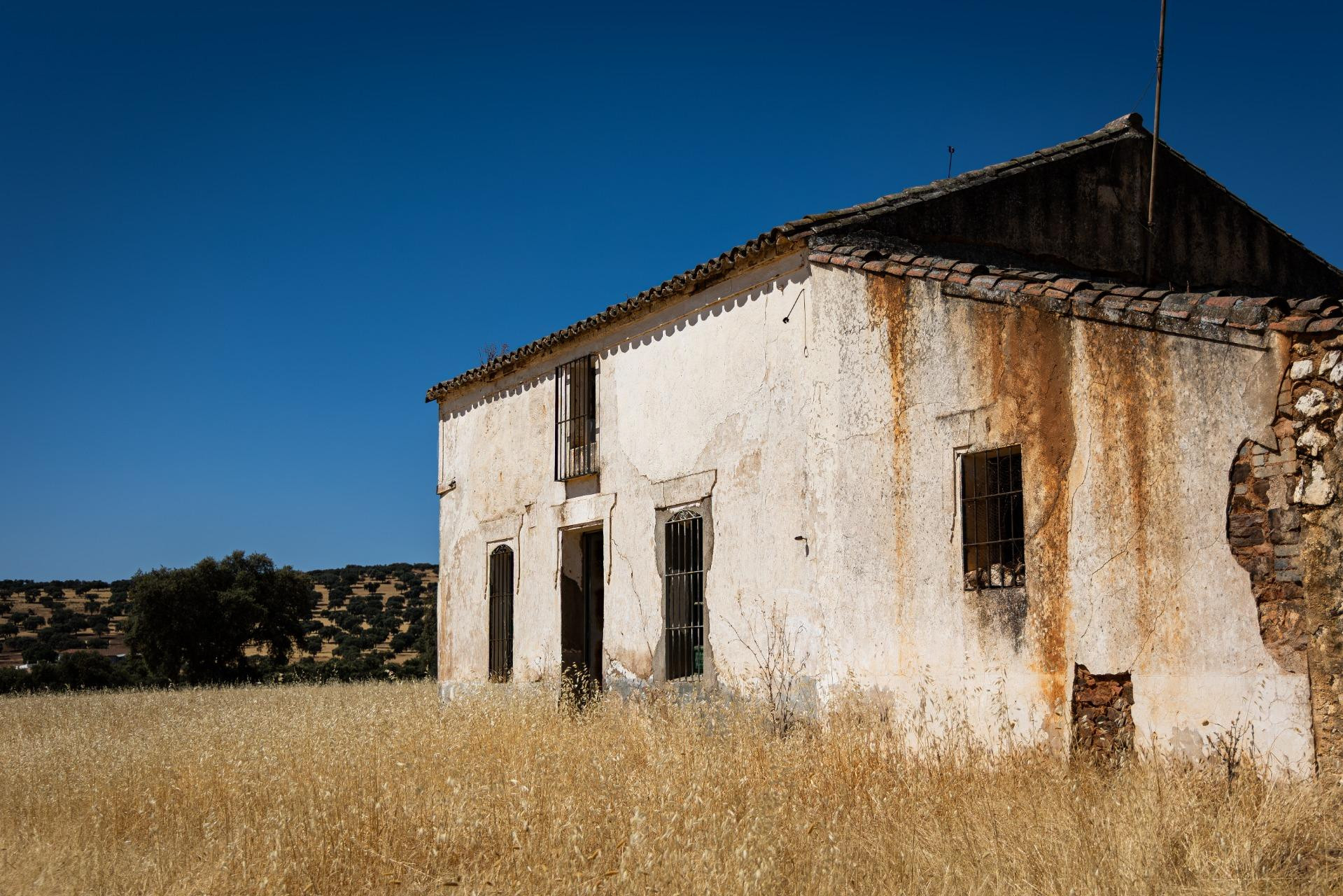 Finca mixta de 140 hectáreas con cortijo en suelo urbano en  - foto 5