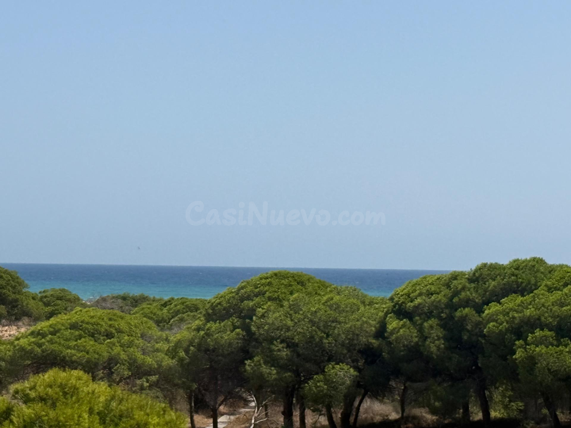 APARTAMENTO EN PINOMAR - LA MATA CON VISTAS AL MAR : 2 HAB, 1 BAÑO, COCINA Y BAÑO REFORMADOS