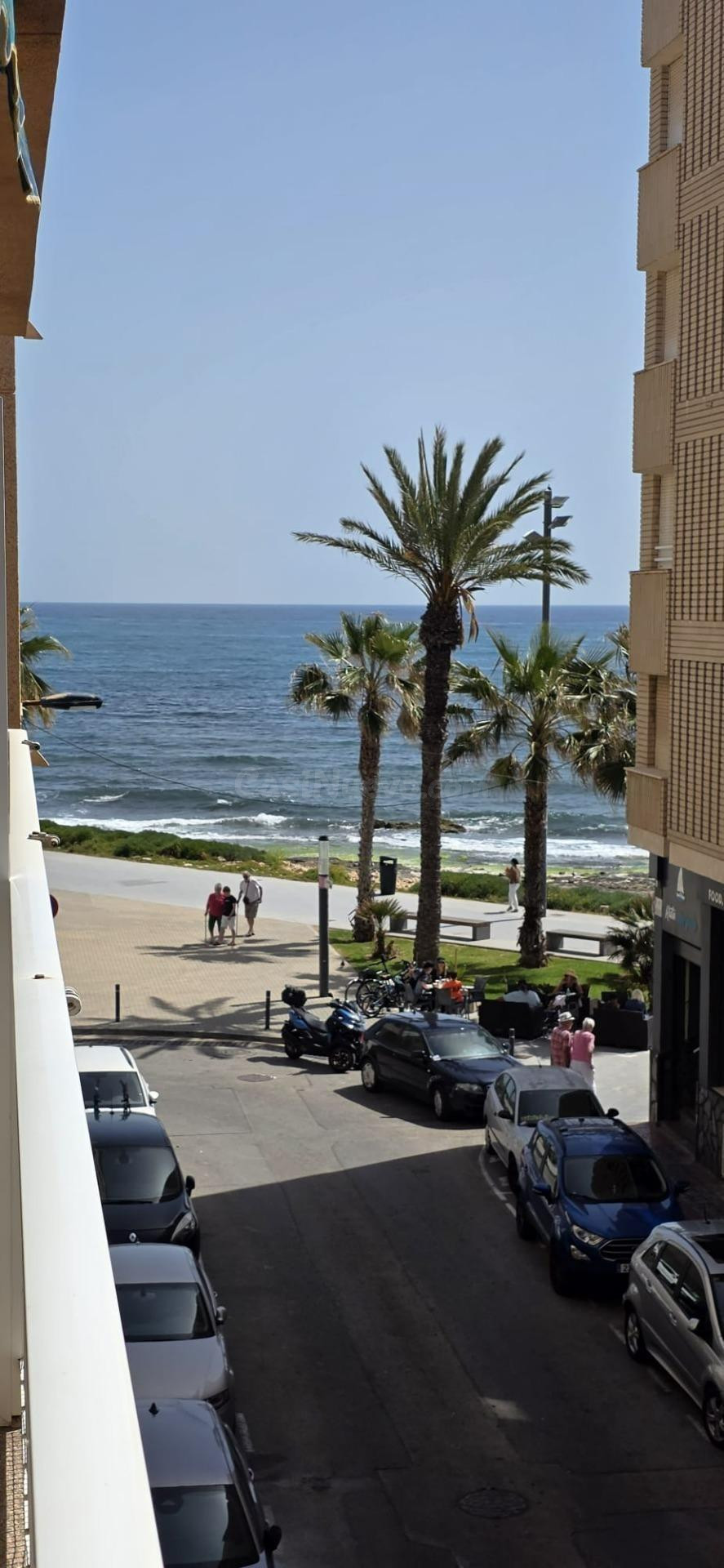 GRAN APARTAMENTO EN TORREVIEJA: 3 HAB, 1 BAÑO, 1 ASEO
