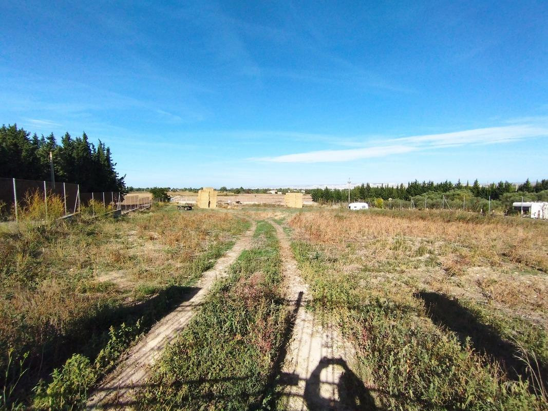 Terreno rural en venta - Miralbueno - foto 3