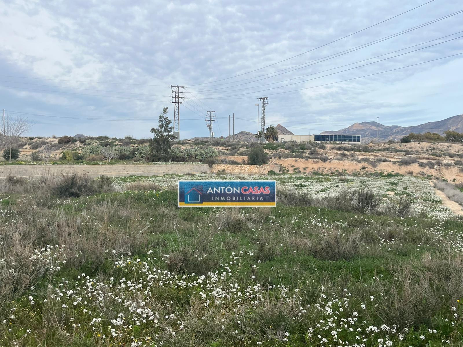 SE VENDE TERRENO RÚSTICO EN NOVELDA – ZONA PARQUE DEL OESTE - foto 2