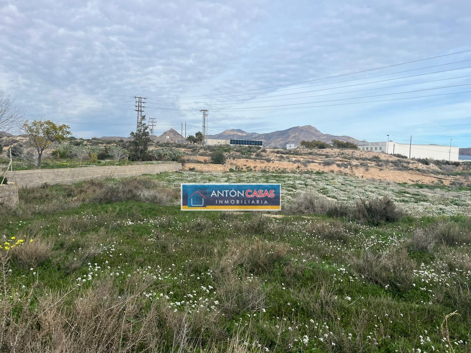 SE VENDE TERRENO RÚSTICO EN NOVELDA – ZONA PARQUE DEL OESTE - foto 3