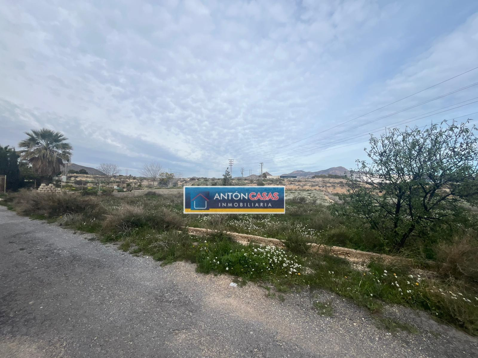 SE VENDE TERRENO RÚSTICO EN NOVELDA – ZONA PARQUE DEL OESTE - foto 5