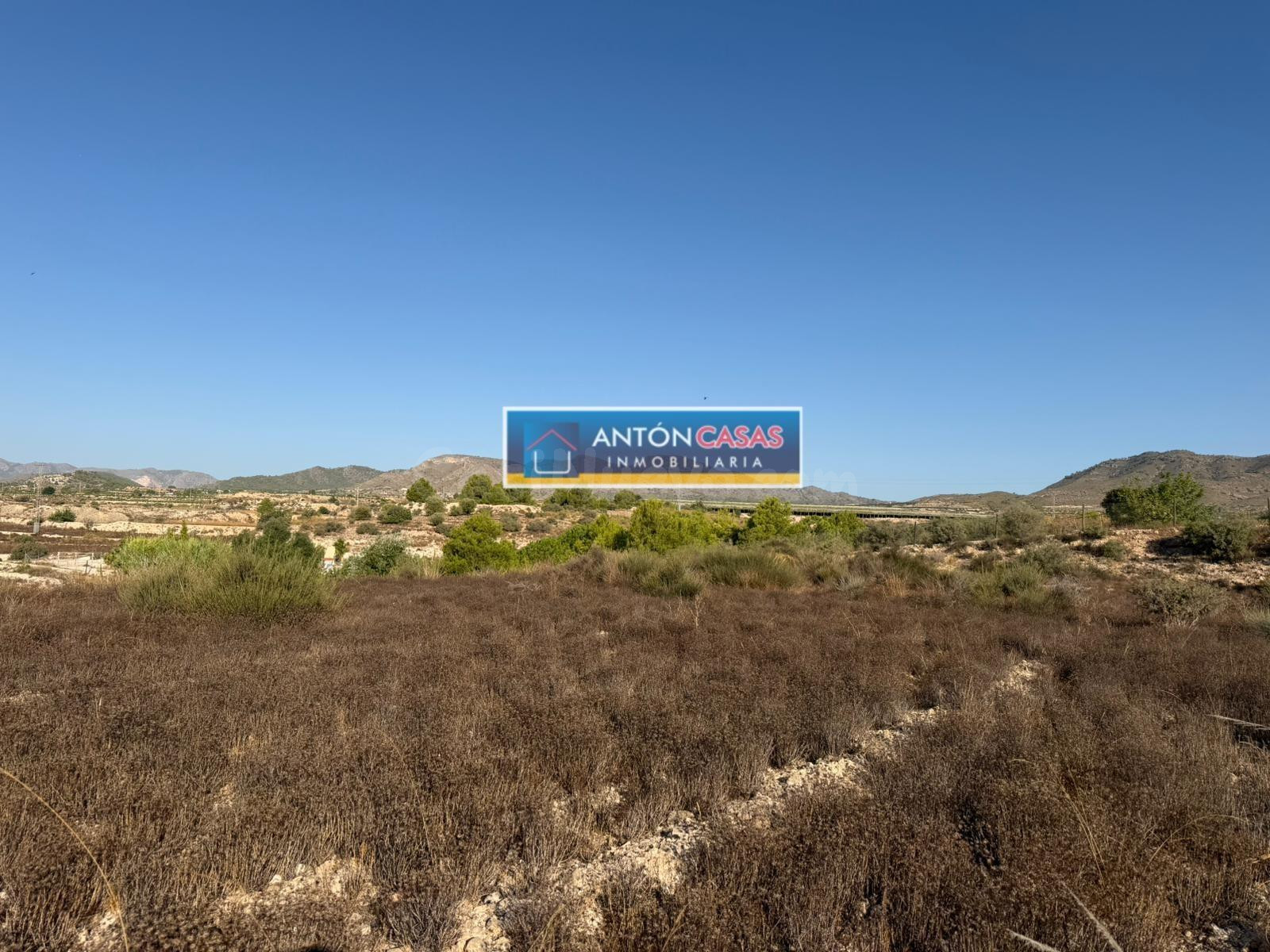 VENTA DE TERRENOS EN HORNA ALTA - NOVELDA - foto 4