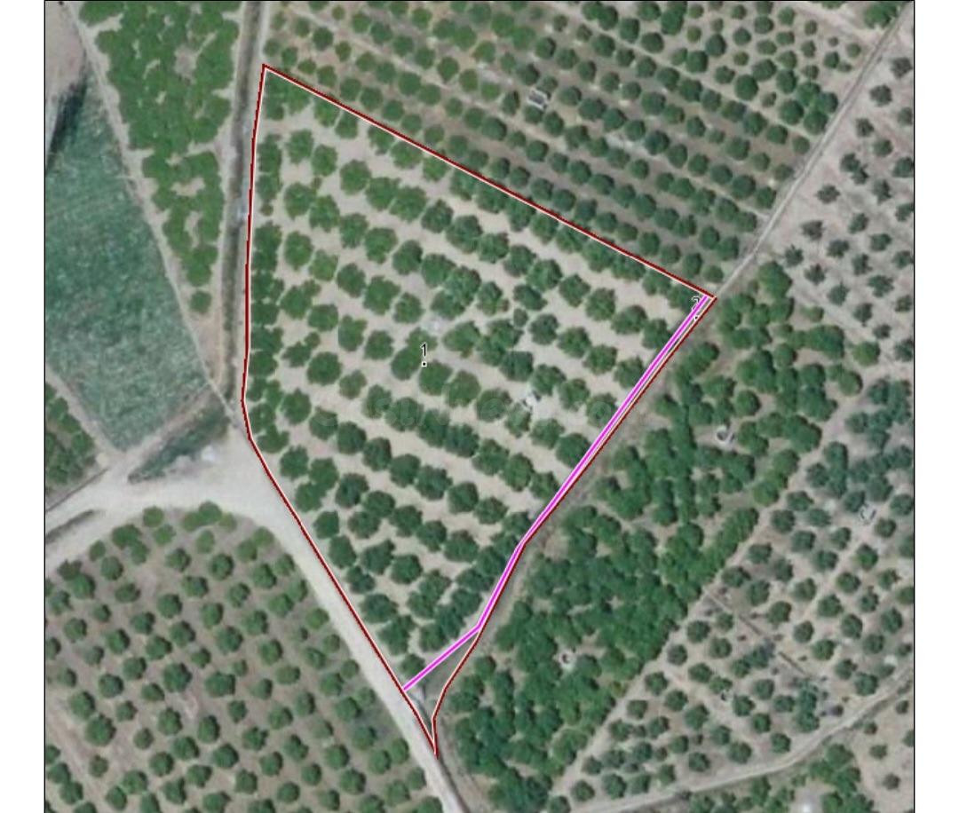Se vende parcela de 4.796 m2  de terreno en terreno rural en Alzira.
