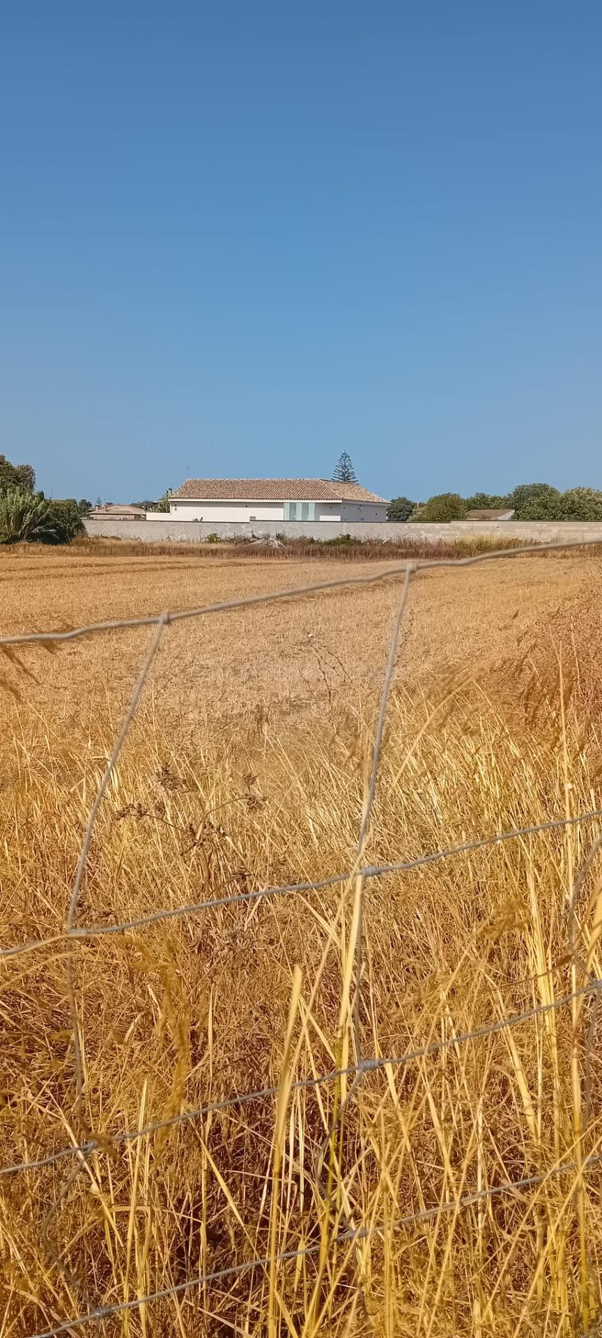 SE VENDE PARCELA EN CAMINO DEL ATUNERO, SEGREGADA - foto 4