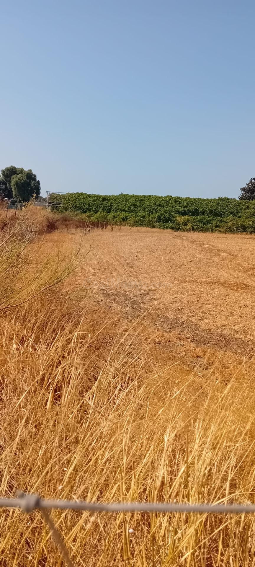 SE VENDE PARCELA EN CAMINO DEL ATUNERO, SEGREGADA - foto 5