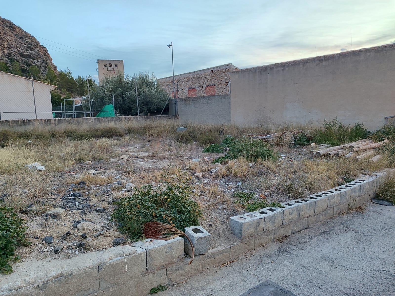 OPORTUNIDAD DE INVERSIÓN EN RICOTE - CONJUNTO DE SOLARES CON - foto 3