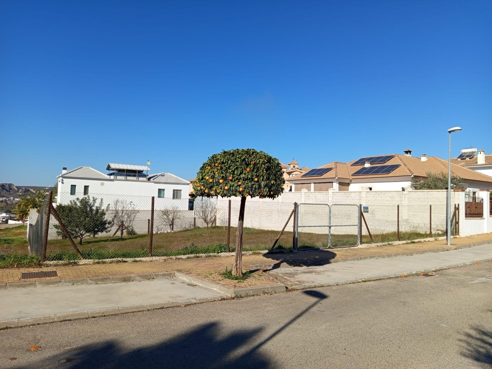 Parcela en venta - El palomar