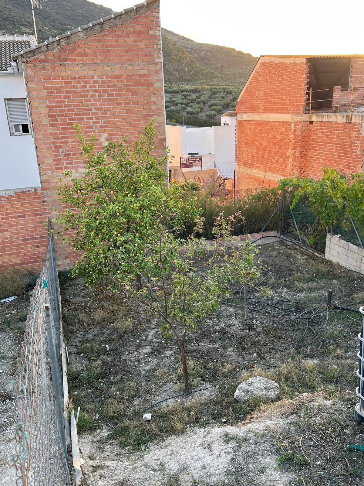 Oportunidad de Inversión: Solar en Doña Mencia por solo 38,9 - foto 3