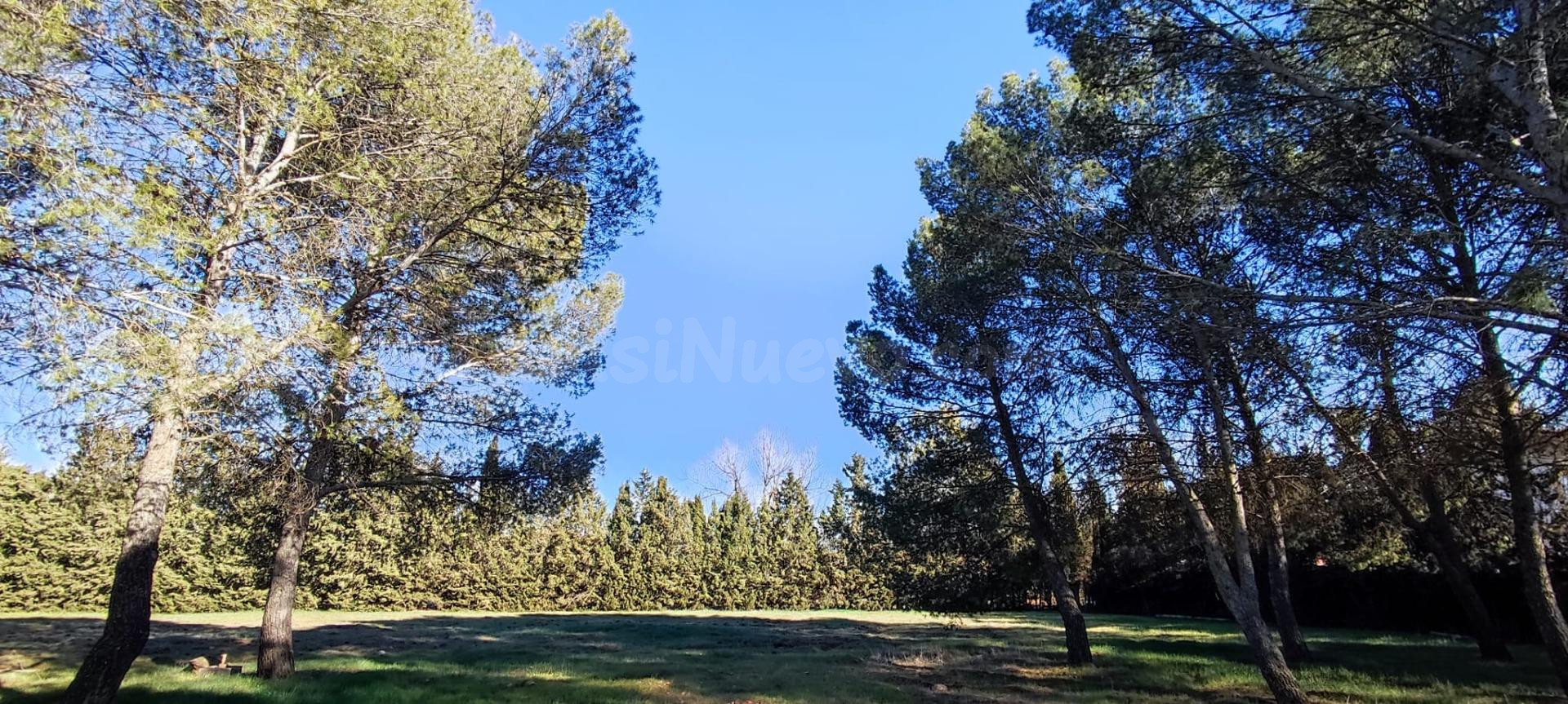 Terreno Rústico en la Poblachuela Ciudad Real. - foto 5