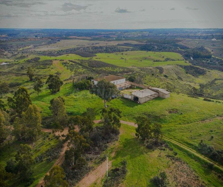 En venta finca con regadío, ganadera y con coto de caza en Ciudad Real