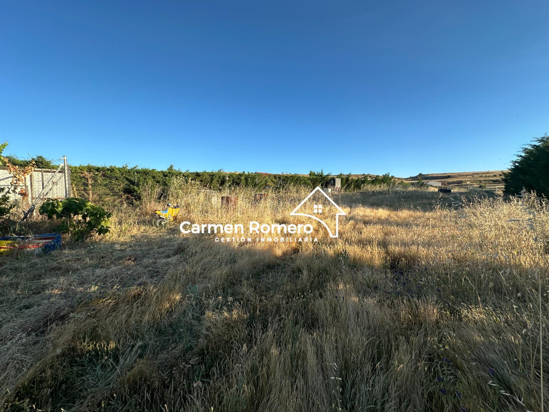 Parcela Rustica de Recreo de 1000 m2 aprox. En CARPIO BERNAD - foto 4