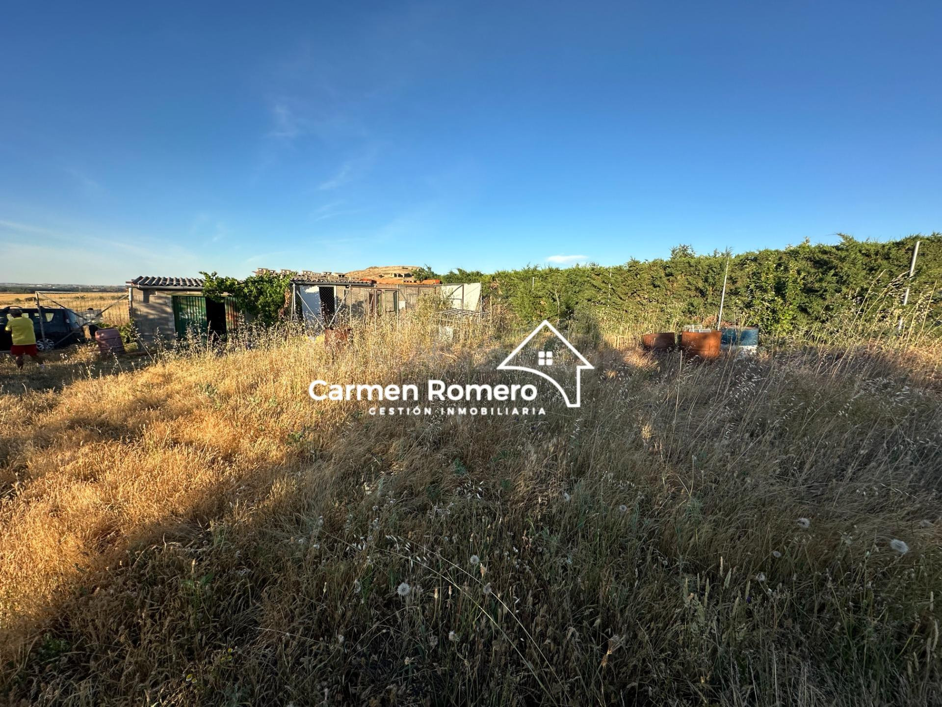 Parcela Rustica de Recreo de 1000 m2 aprox. En CARPIO BERNAD - foto 5
