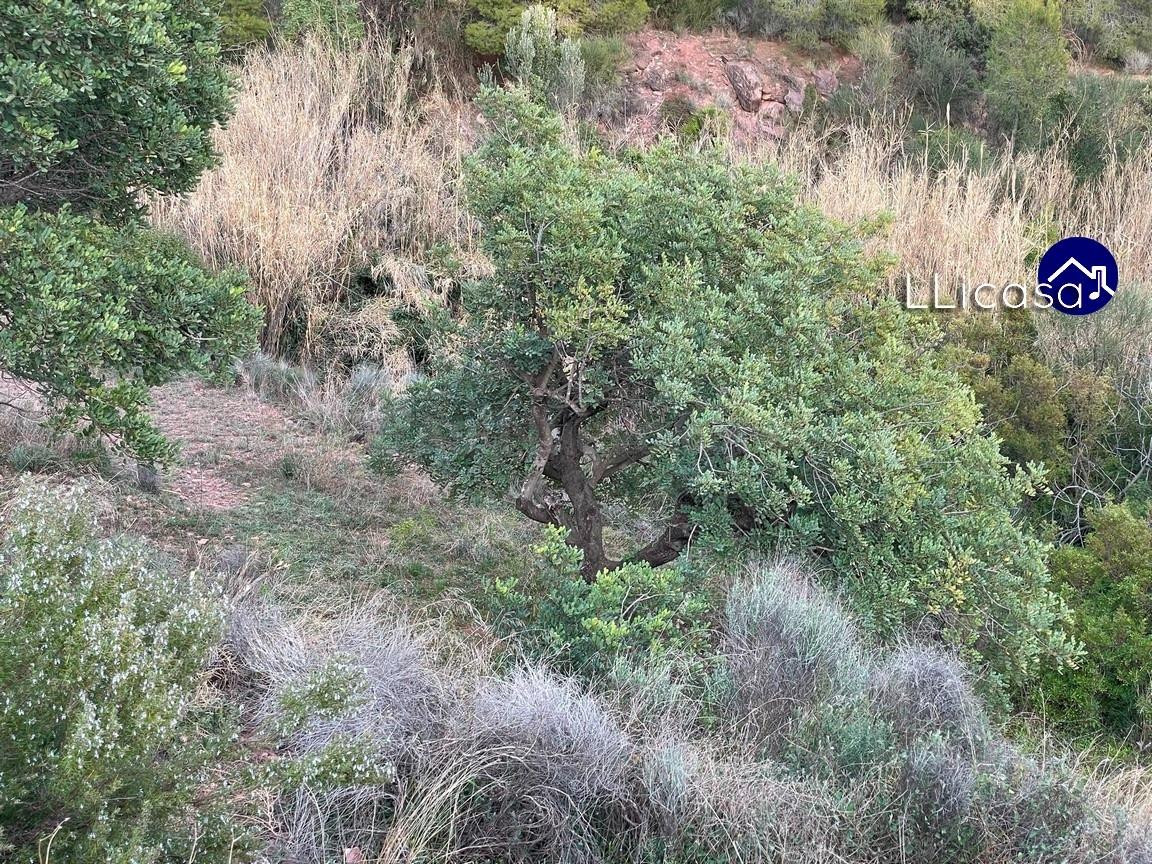 Parcela en venta - Olocau - foto 4