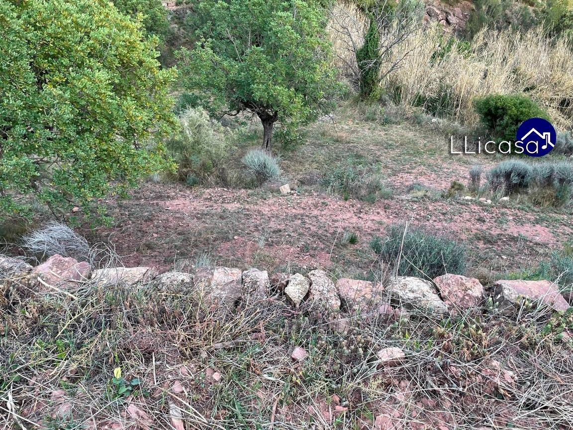Parcela en venta - Olocau - foto 5